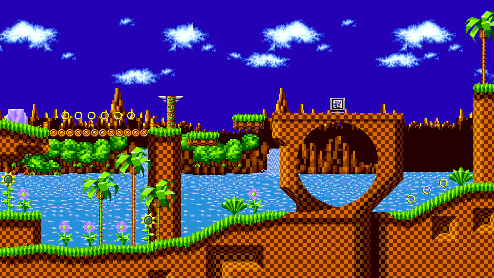 Sonic the Hedgehog Green Hill Zone Diorama